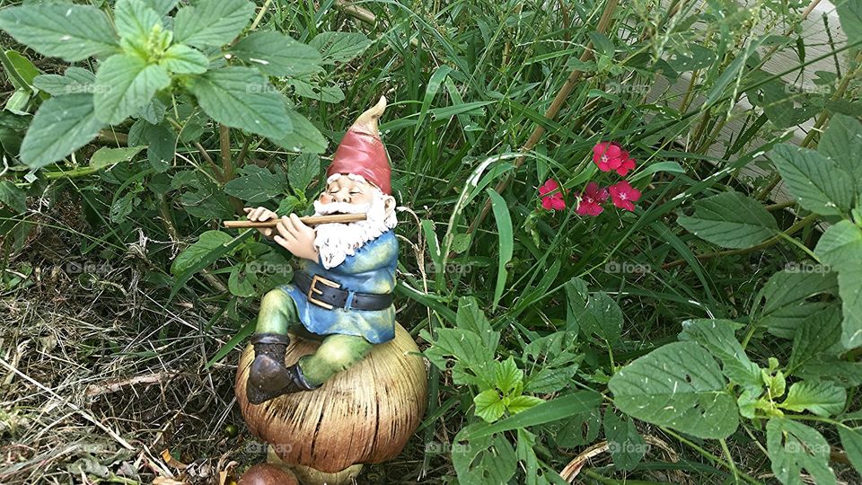 Summer Gnome 