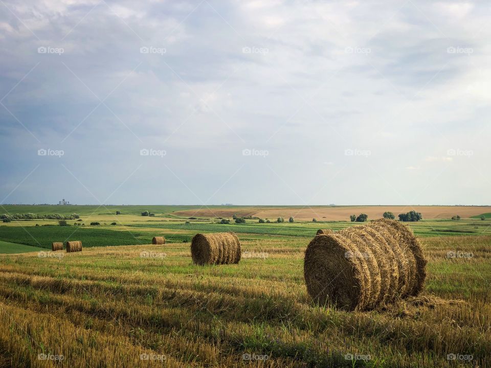 Countryside