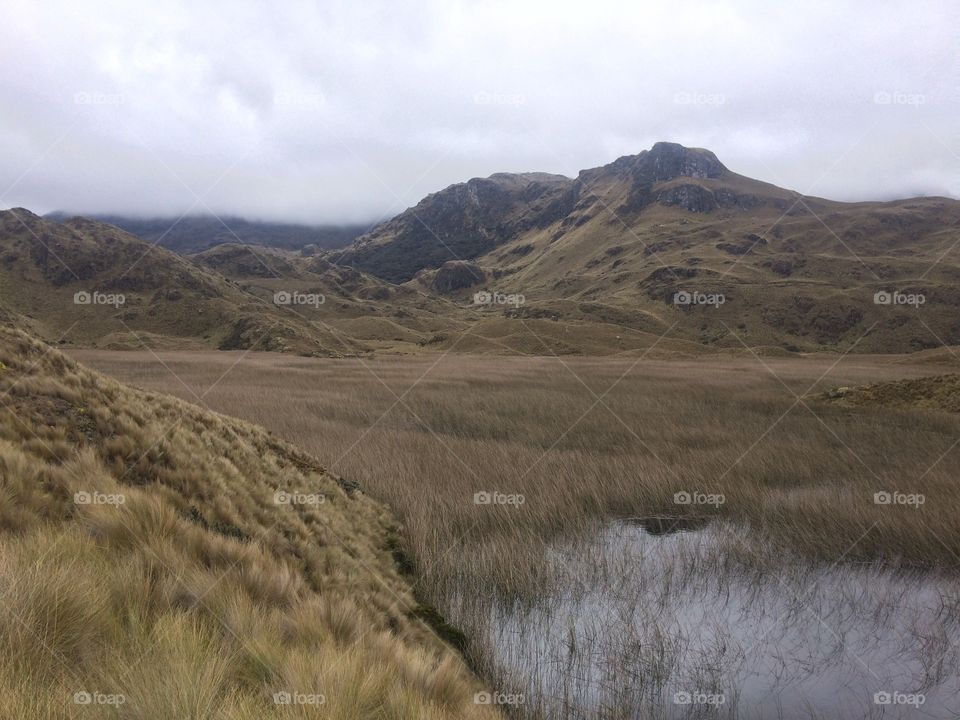 Parque nacional cajas 