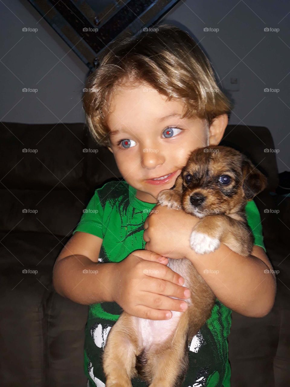 child playing with the dog