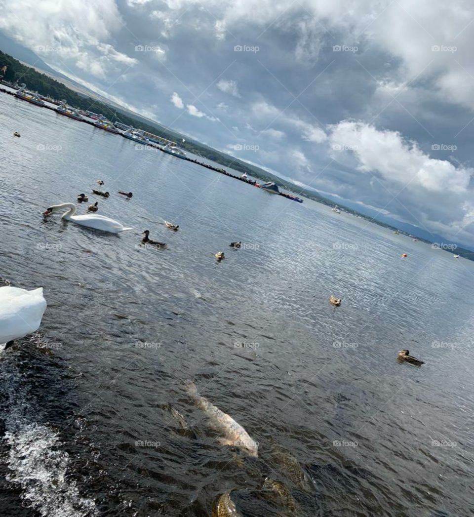 amazing riverside environment