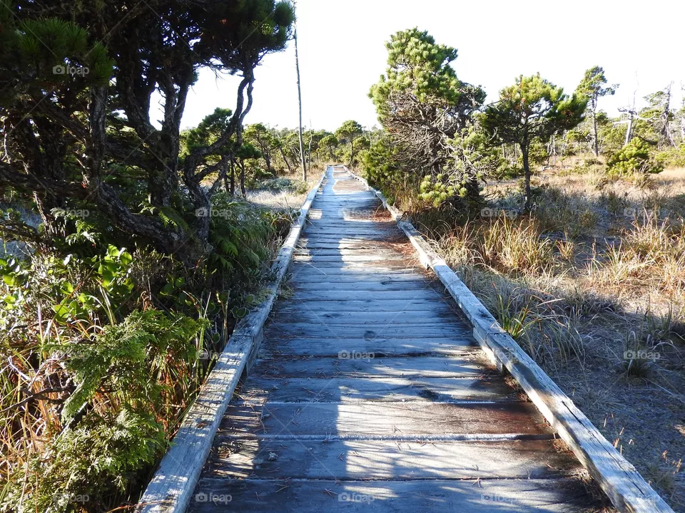 Walkway