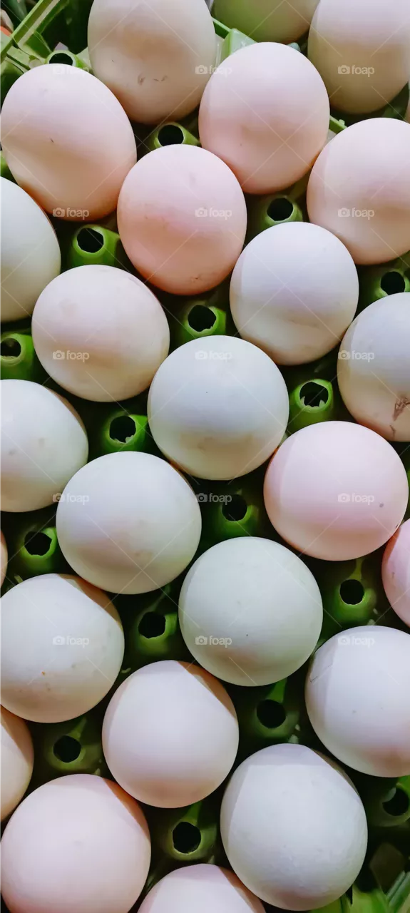 Eggs