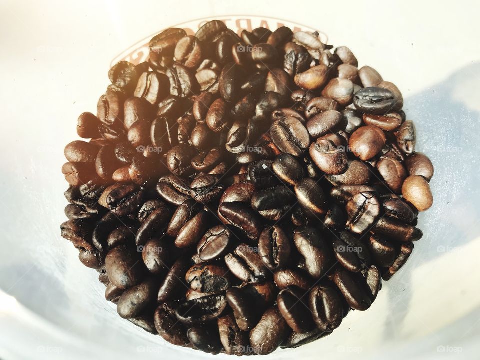 Coffee bean 