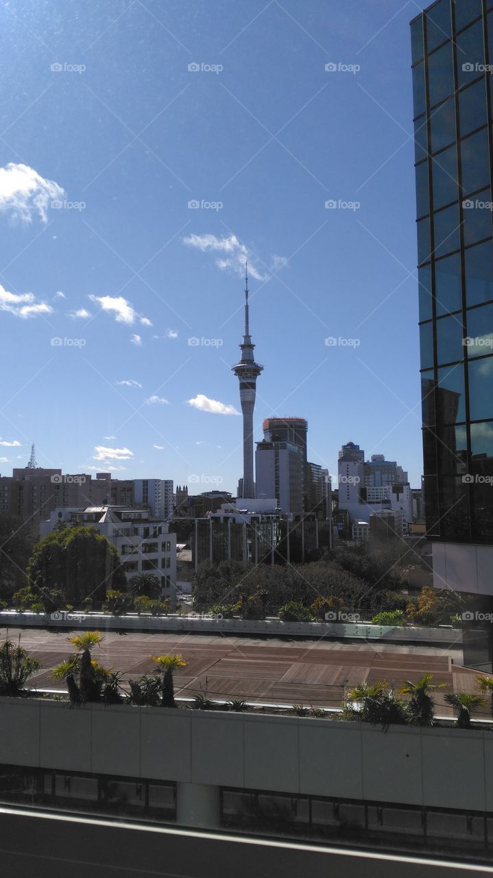 Sky Tower in Auckland, New Zealand