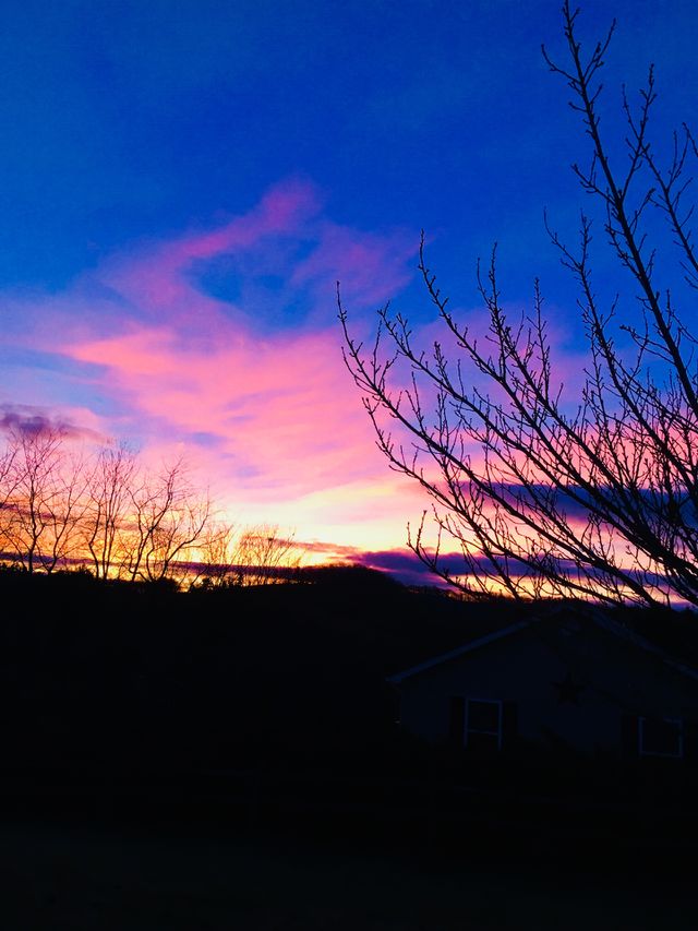 The night sky