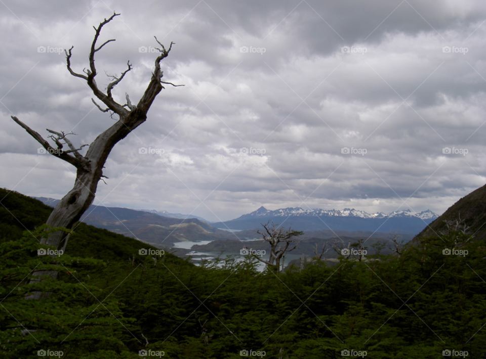 snow tree clouds lakes by Kamisaraki