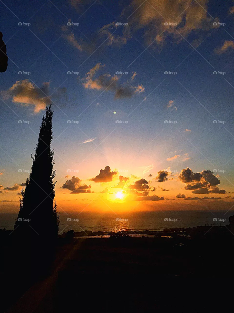 Sun Reflection 
