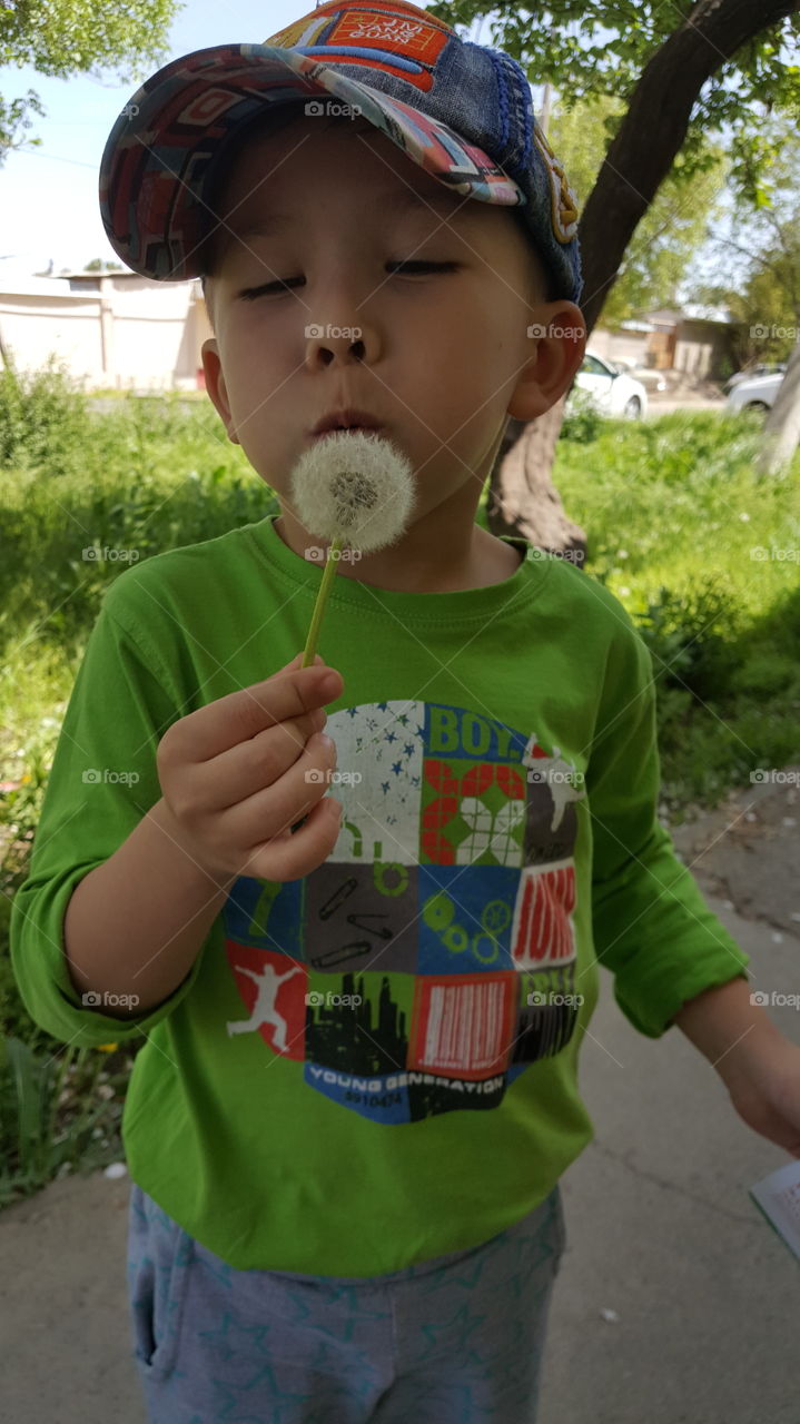 in anticipation of joy &  wander