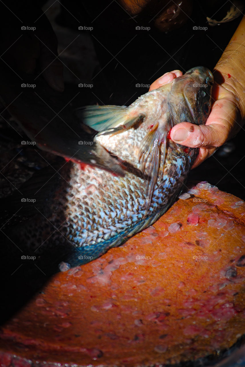 Fish monger cleaning fish