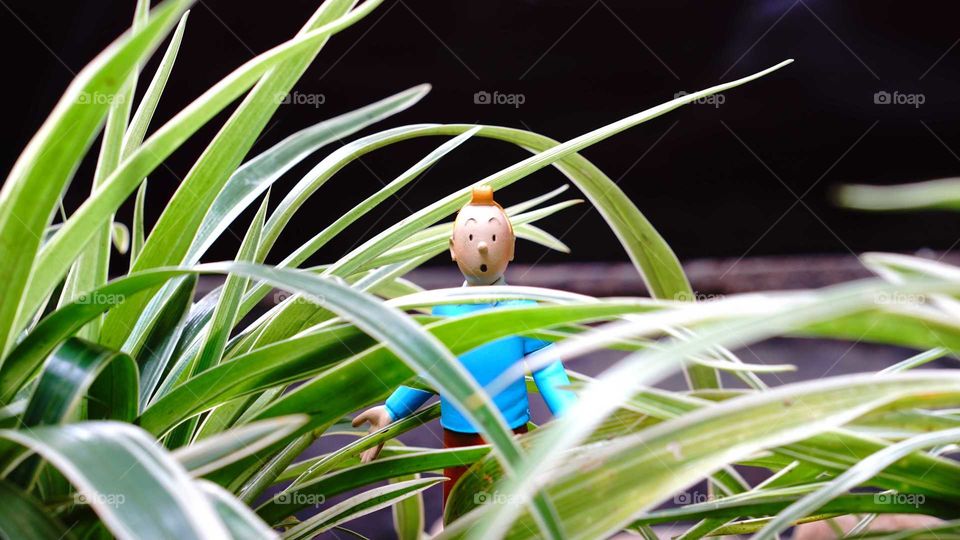 Tintin in the middle of nowhere