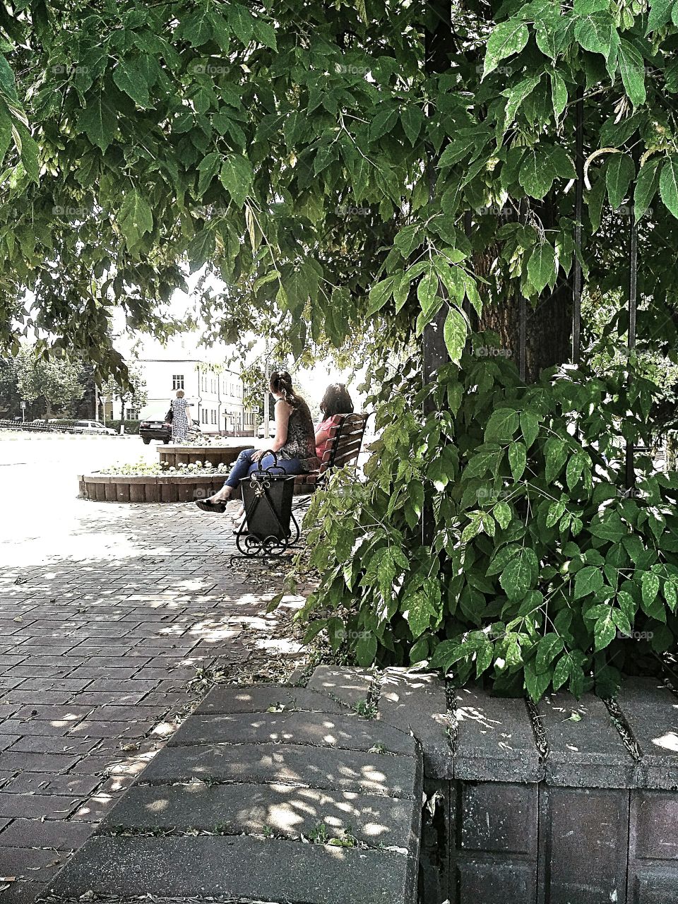 летний день в городе, жарко, подруги сидят на скамейке в тени деревьев. вымощенный плиткой тротуар, рядом шоссе