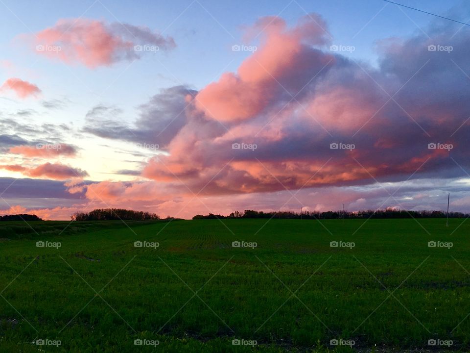 Pink skies and green fields 