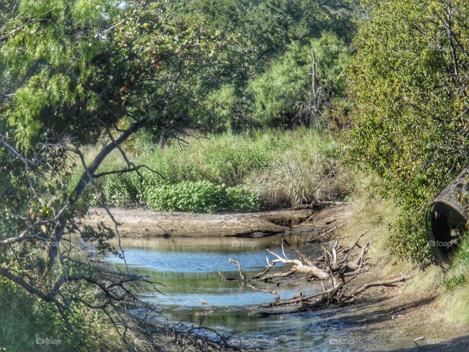 river bed. This is a picture I took while traveling to Eliasville Texas. 👣 🚶 🏃 🔥 💨