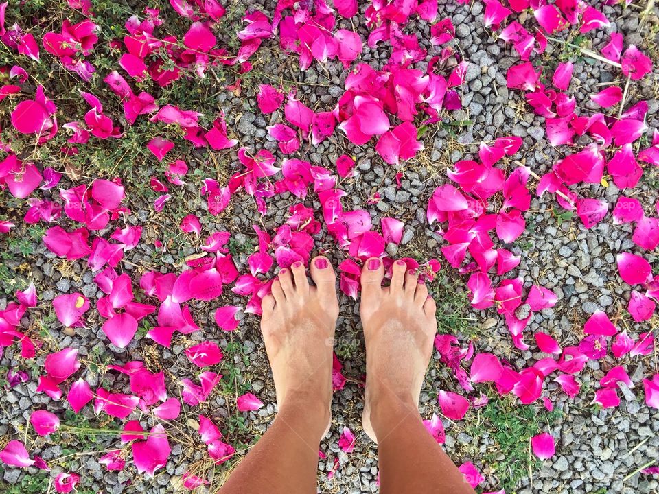 Woman's feet surrounded by pink petal roses fallen on the ground