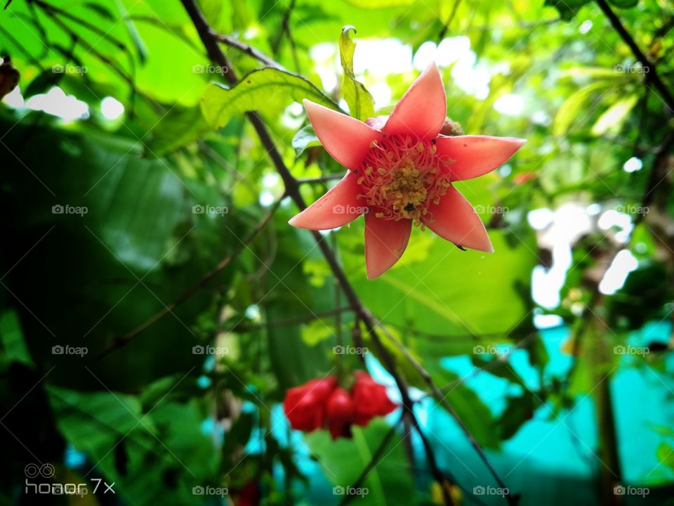 kindly request buy this picture at least $2