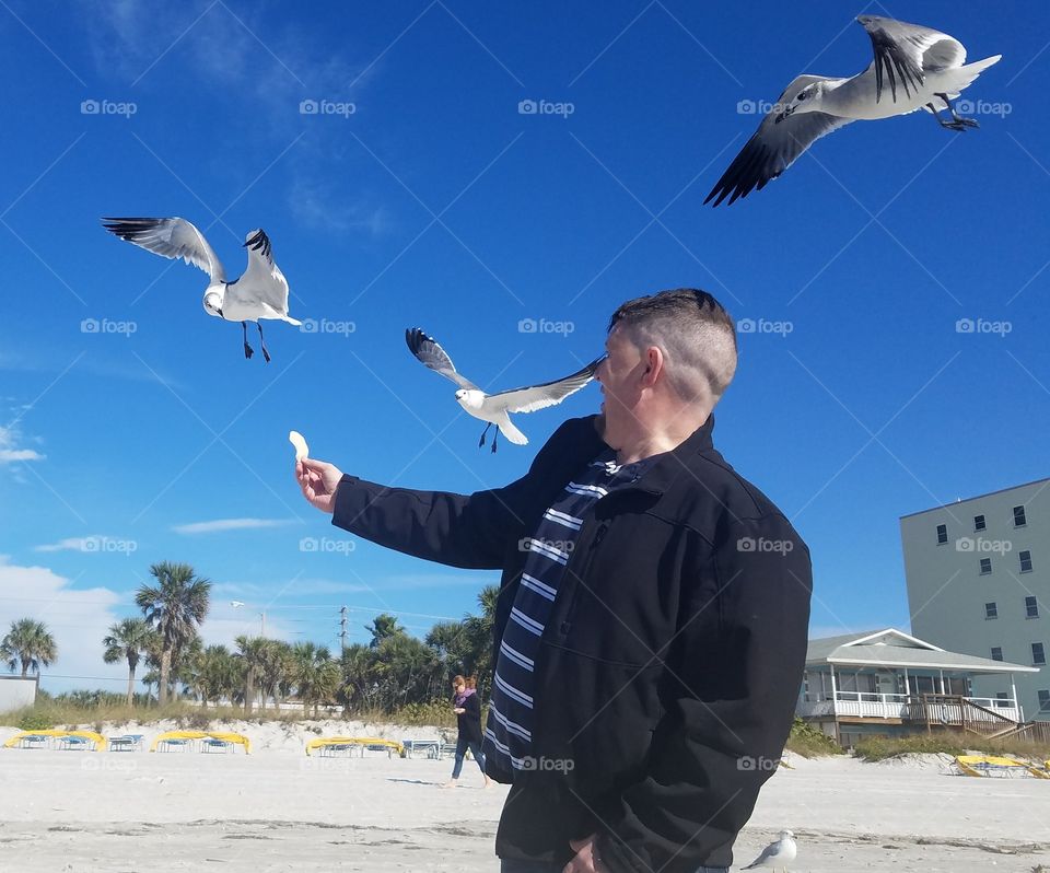Man on Beach feeding seagulls