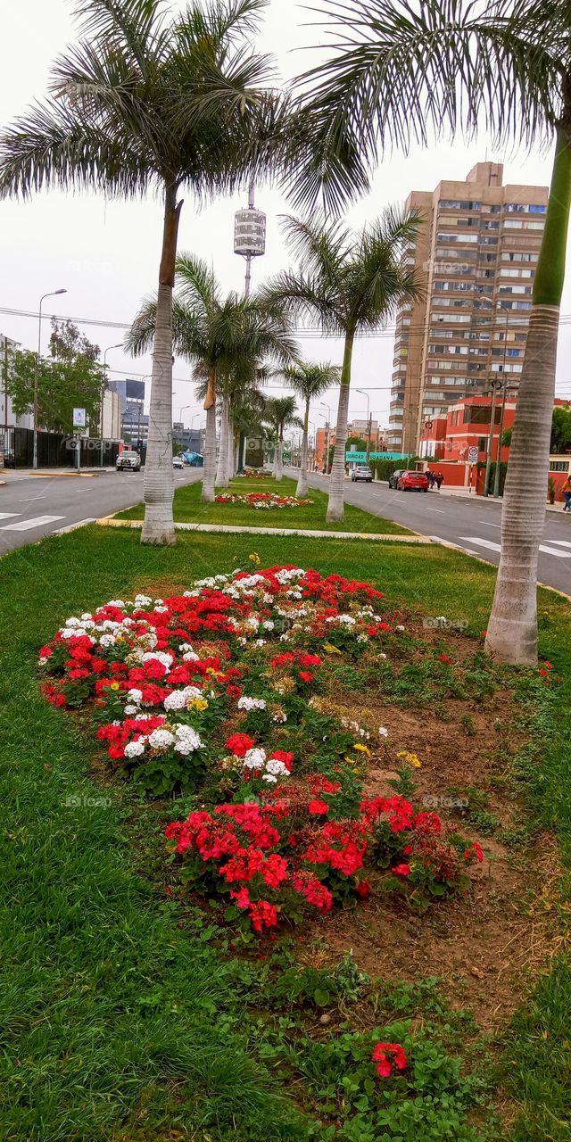 Singular and beautiful