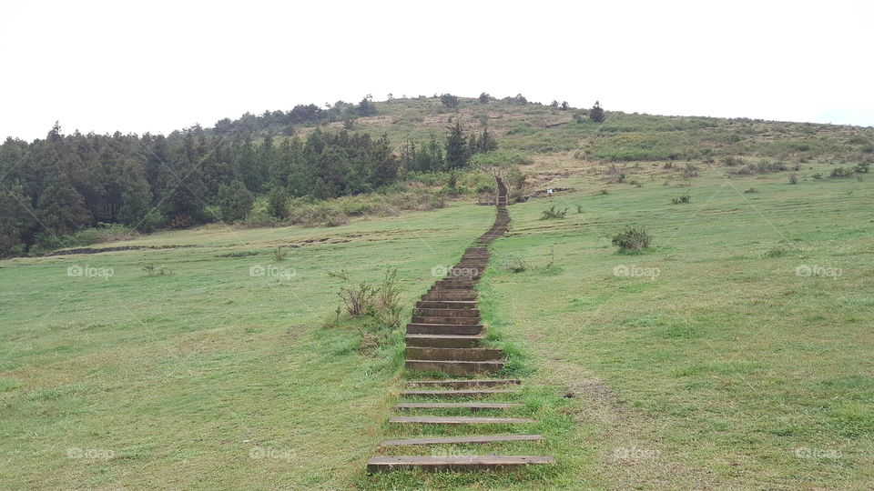 Path to the top of the hill.