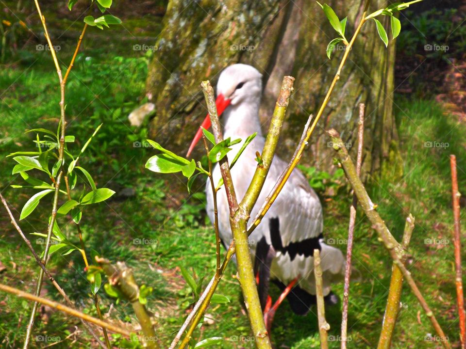 Tommy Girl. Not a good hiding place