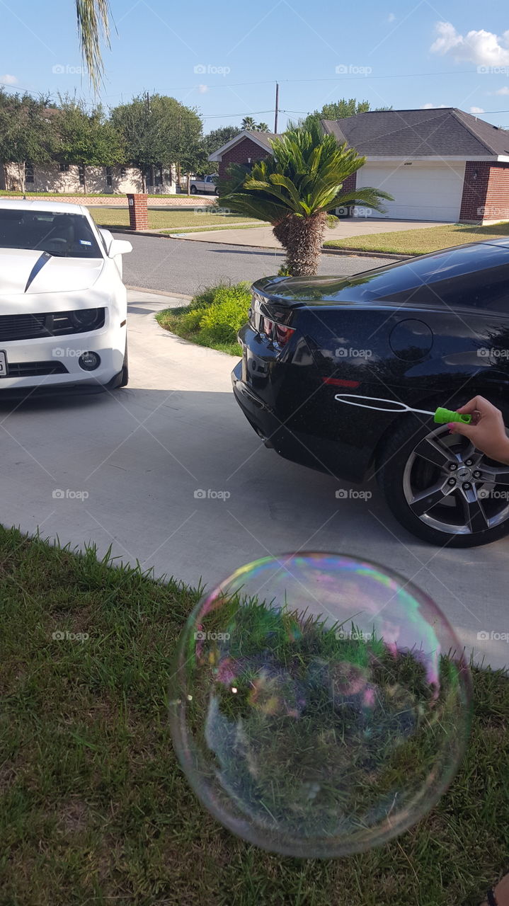 Car, Vehicle, Road, Transportation System, Wheel