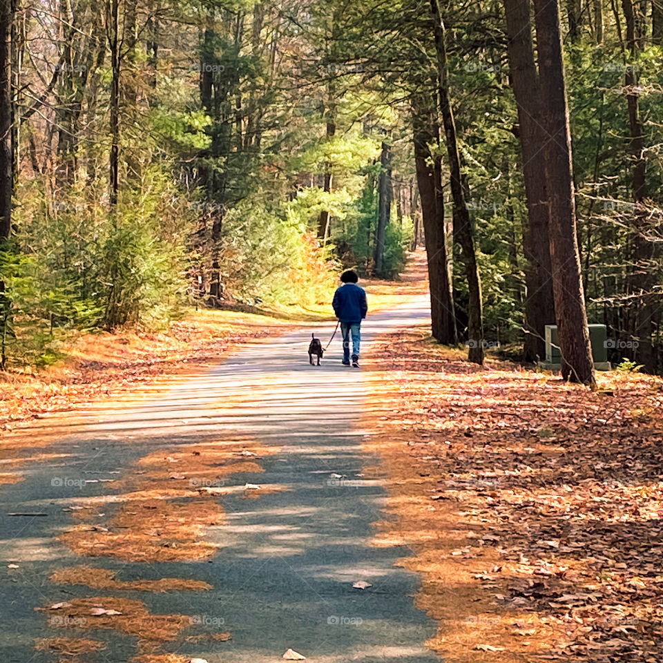 Dog walking on road with teenager 