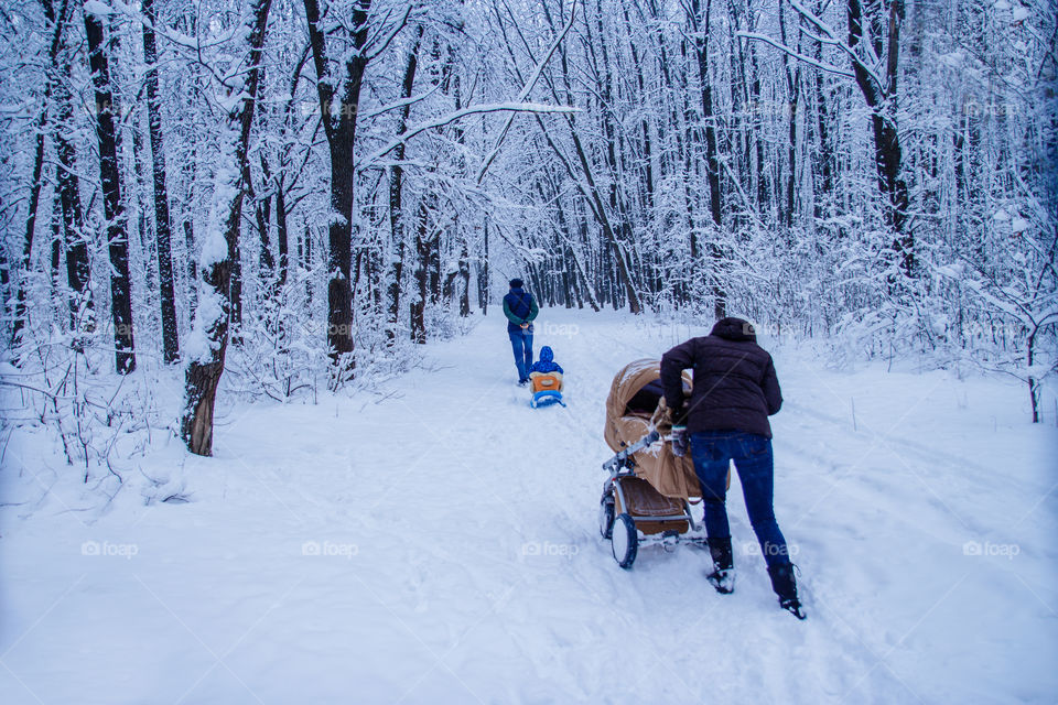 Family is working in the winter forest