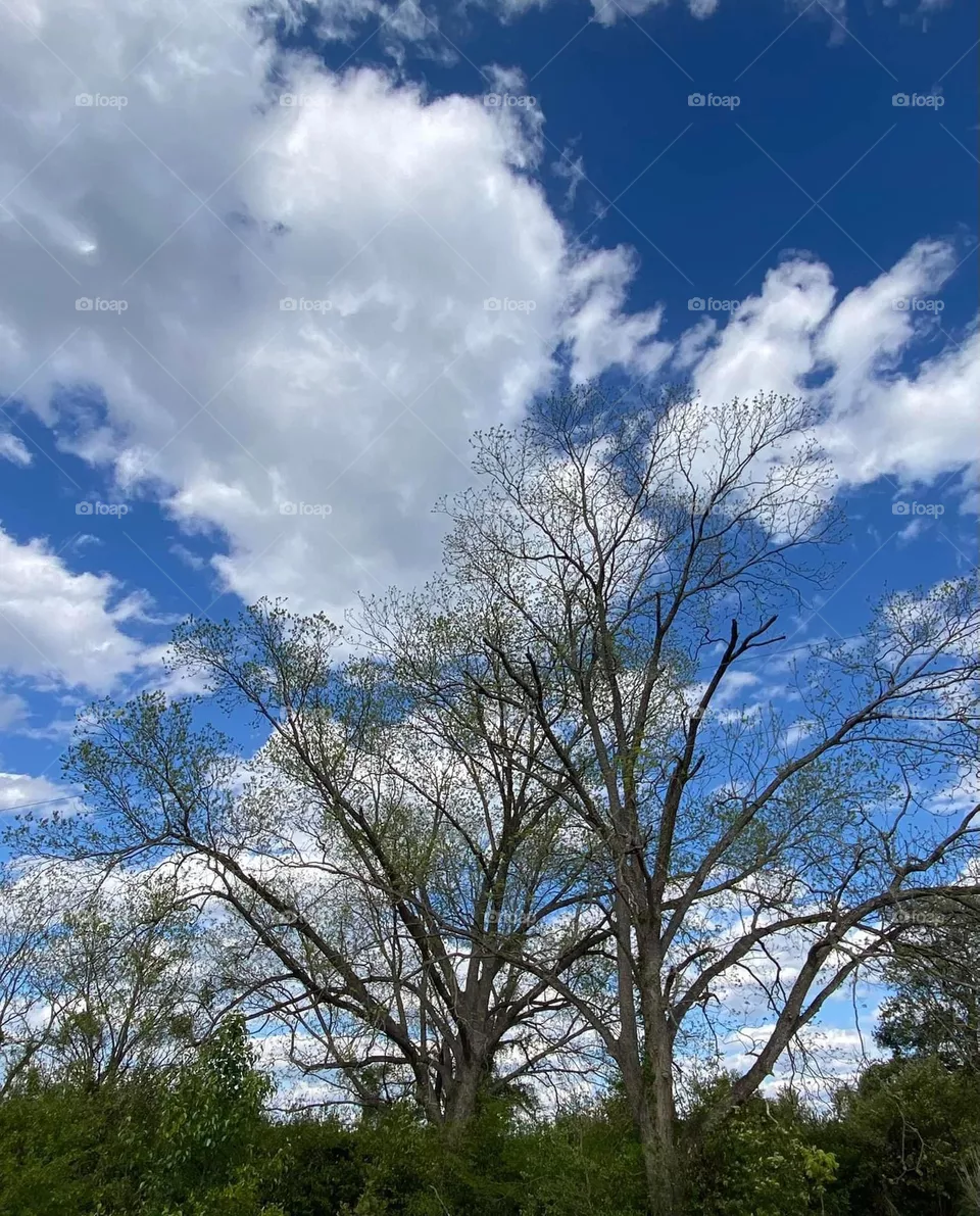 Beauty in the sky for me too see 