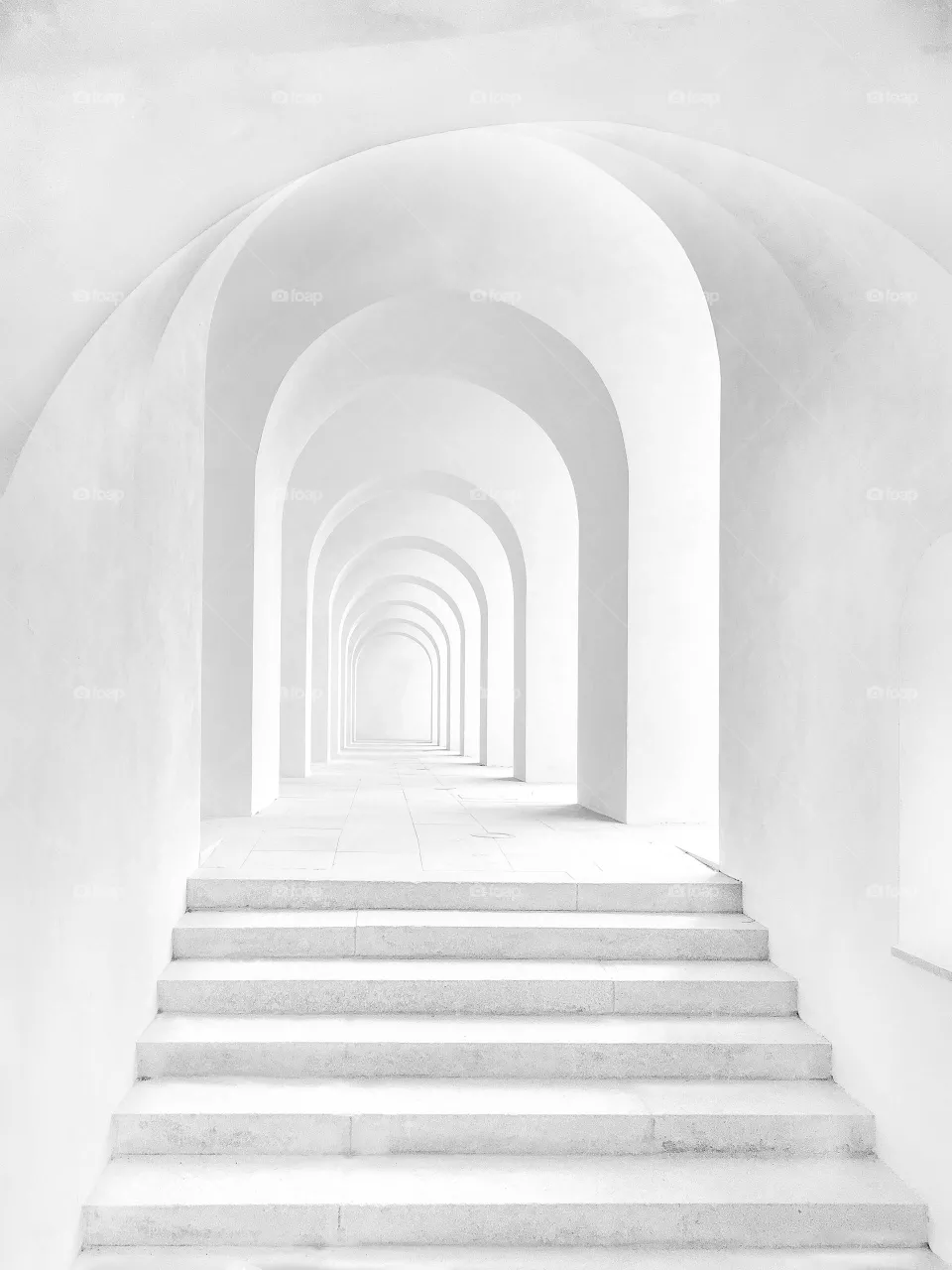 beautiful white article view beauty