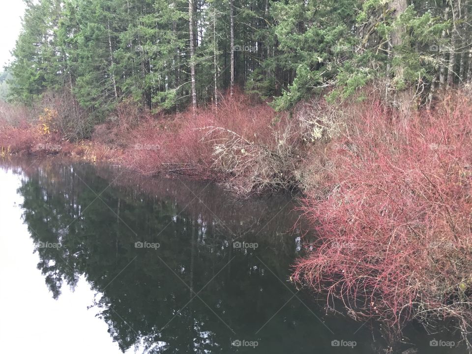 Cowichan Valley in autumn