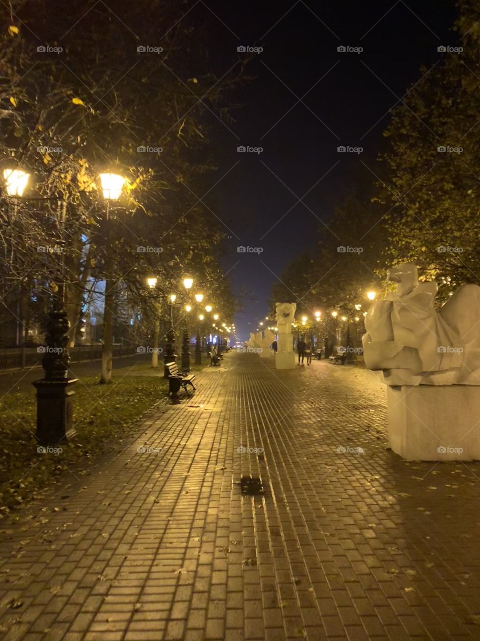 street of the night city after the autumn rain