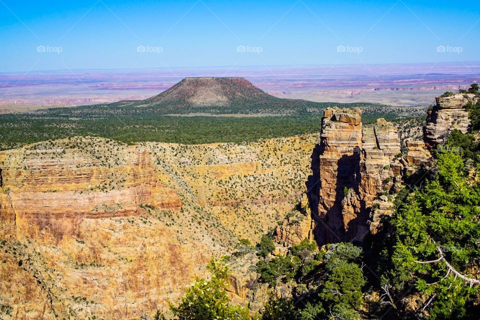 Arizona Canyon