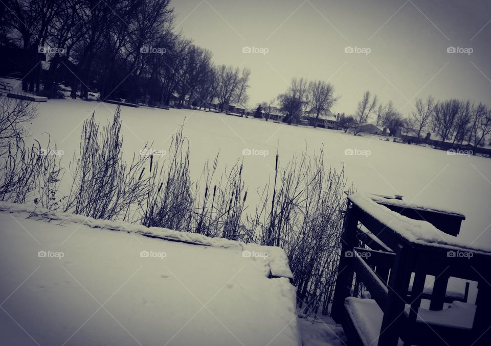 snowy lake