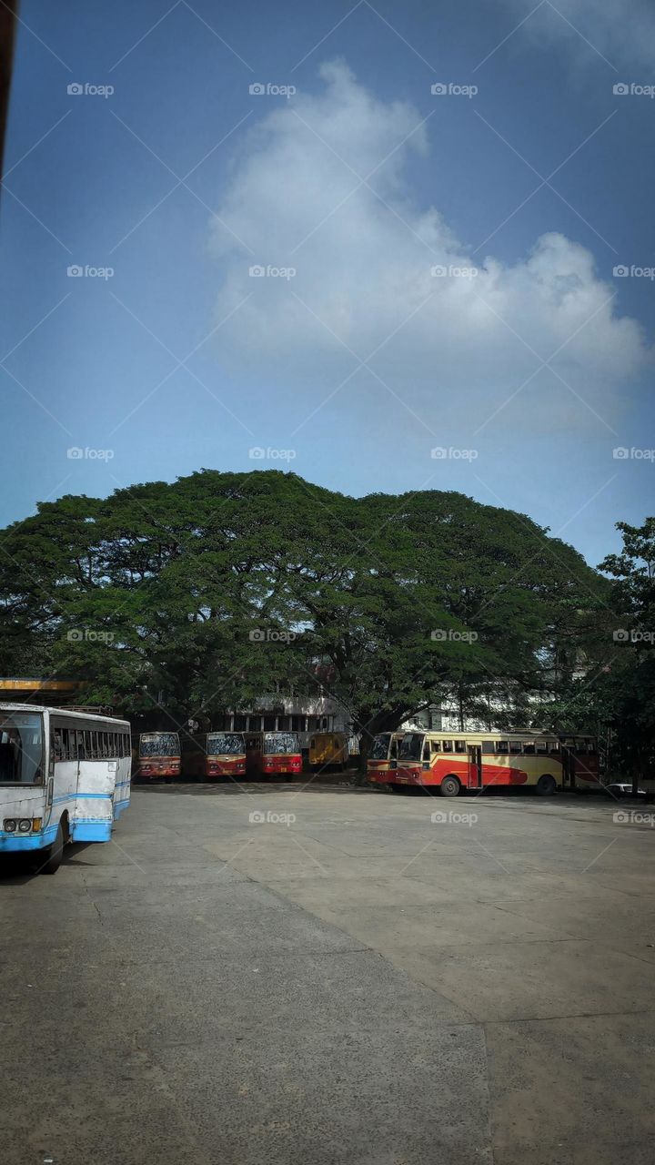 KERALA KSRTC BUS STAND