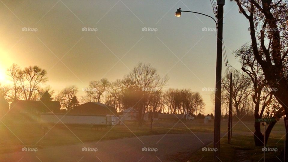 Dawn, Sunset, Landscape, Tree, Fog