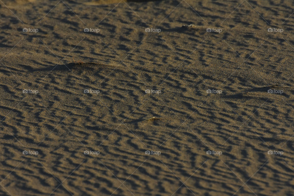 Staggering Flow Ripple Pattern In Soft Beach Sand