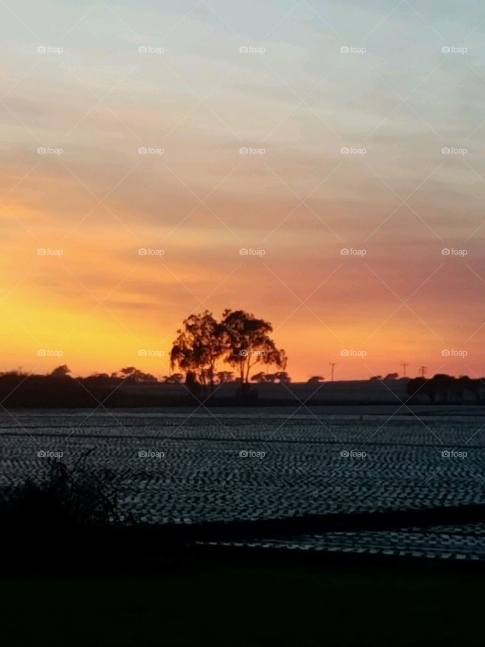 sunset over the fields