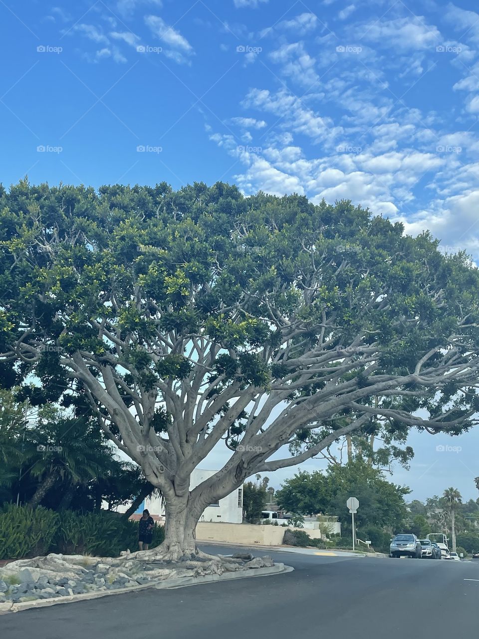 Nature at it’s best 