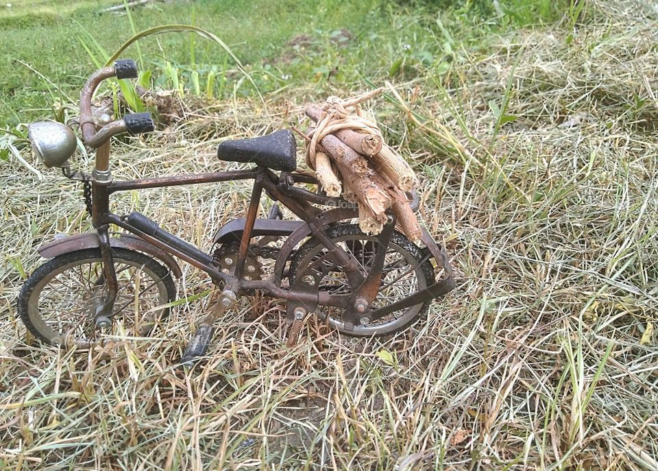 Looking for firewood