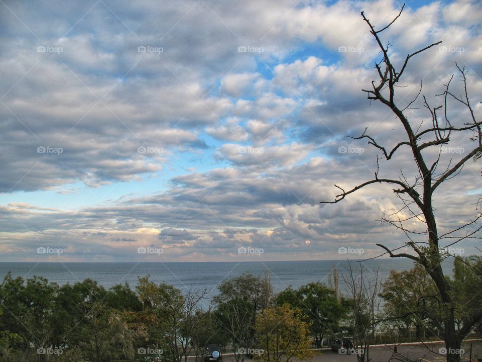 sky sea trees небо