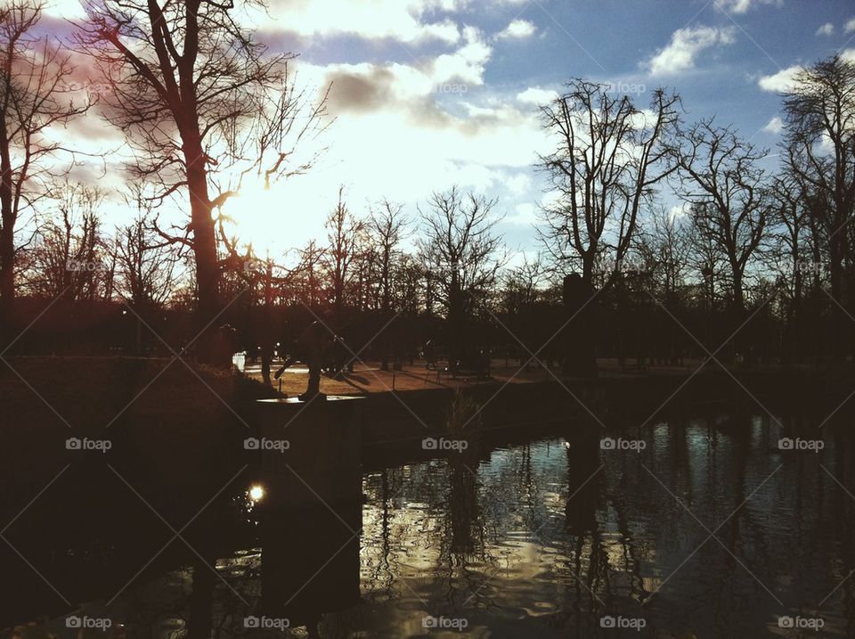 Morning in Tuileries, Paris