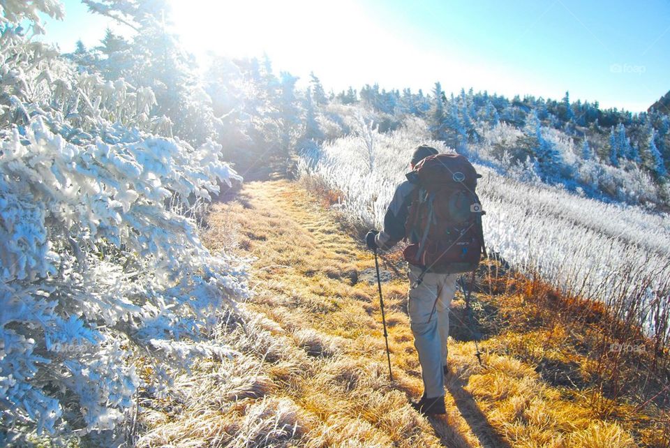 Hiking