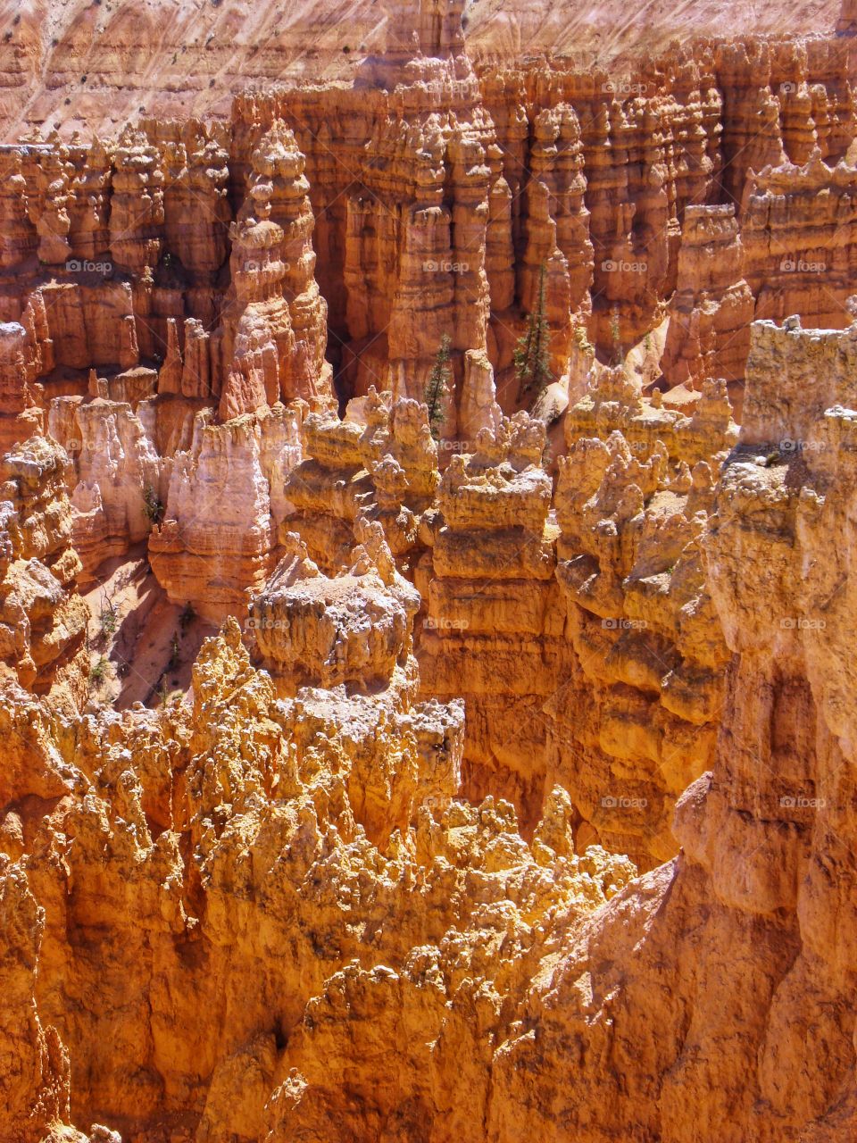 Wind and water erosion 