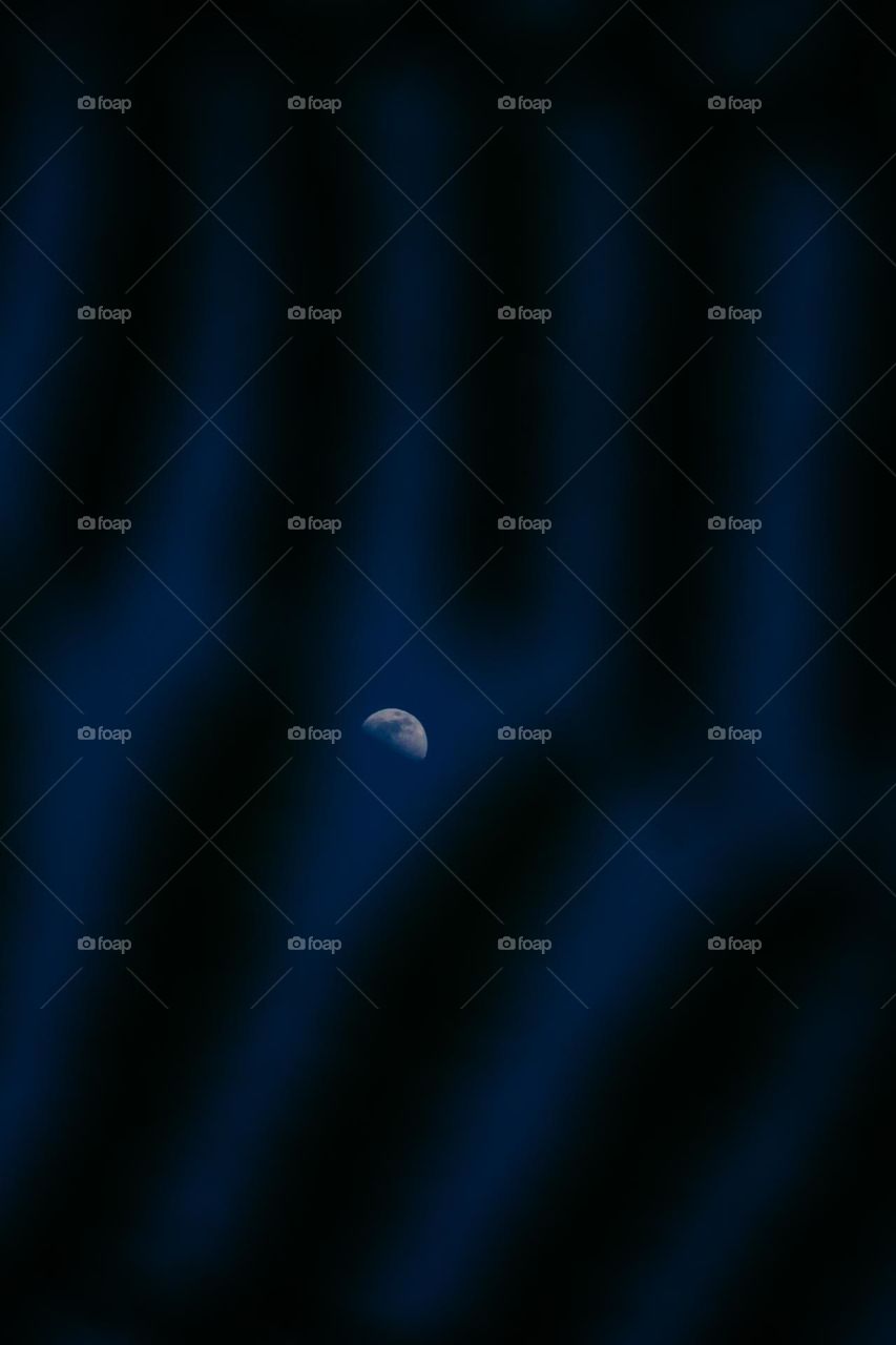 the moon in the blue sky dotted with the shadows of the trees