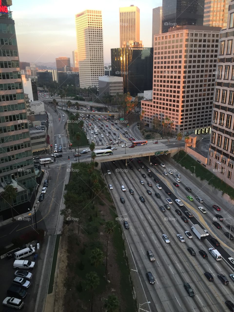 View from the office