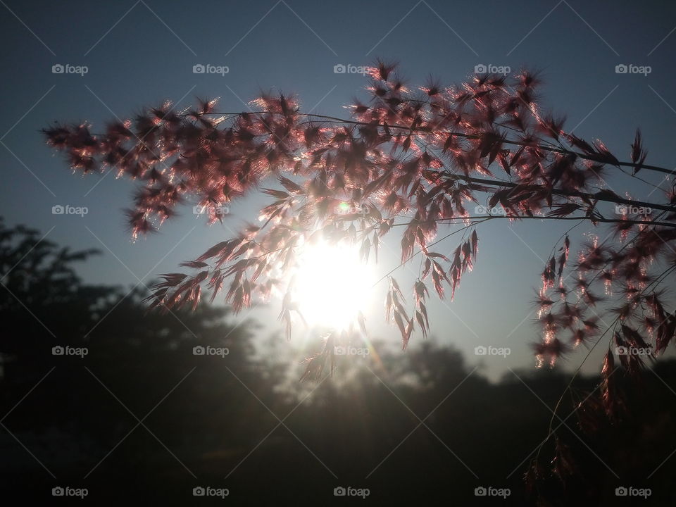 the most beautiful gr