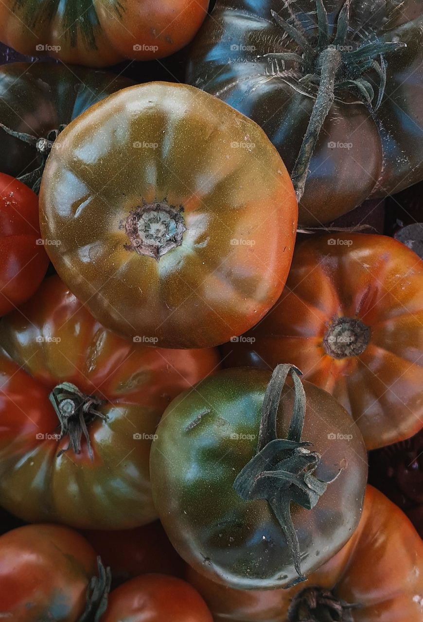 Shades of tomato color