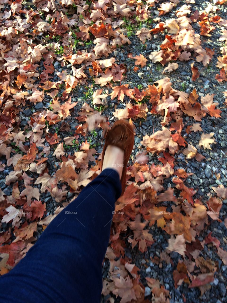 Fall, People, Leaf, Outdoors, Woman