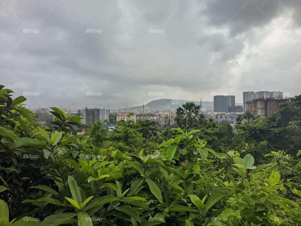 Nature's perspective- Picture has been captured on Realme 6i without using any filters.