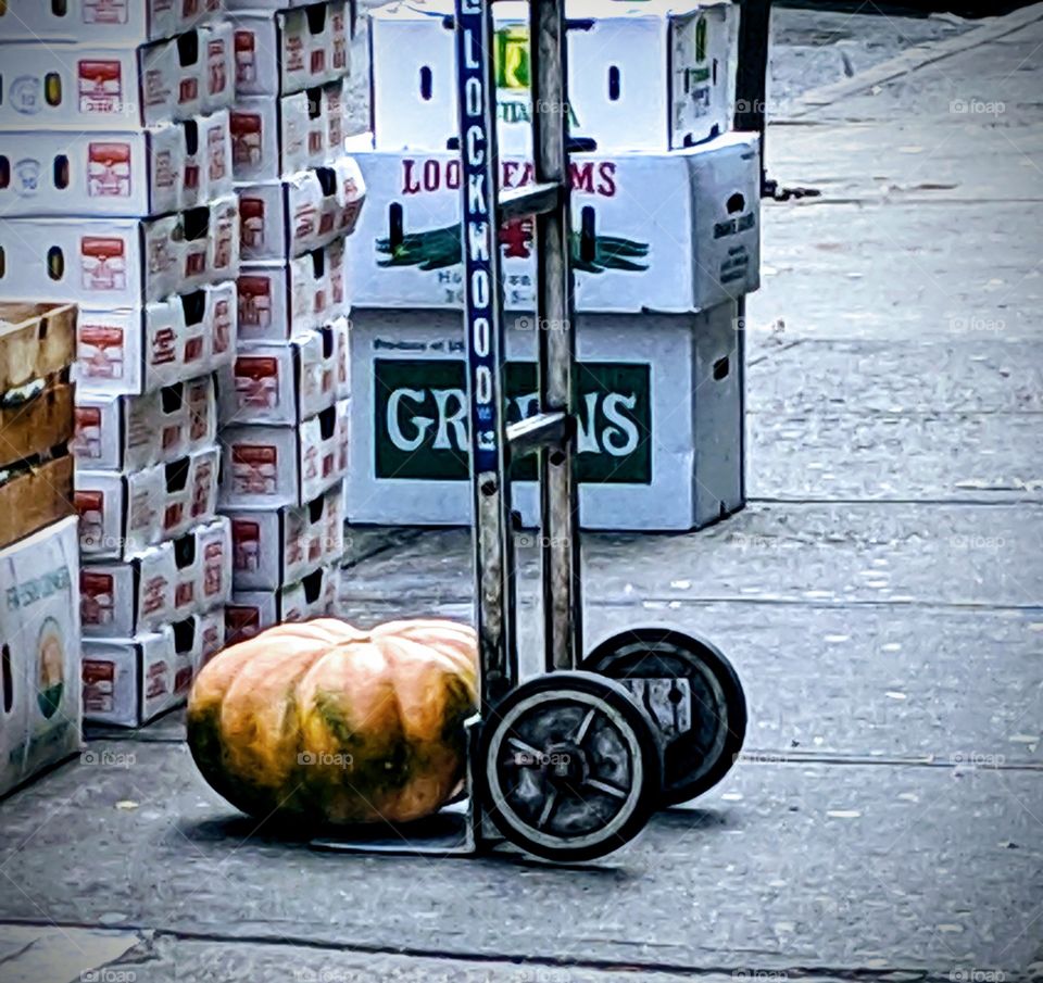 A truck was being unloaded and this squash stuck out amongst all of the boxes.